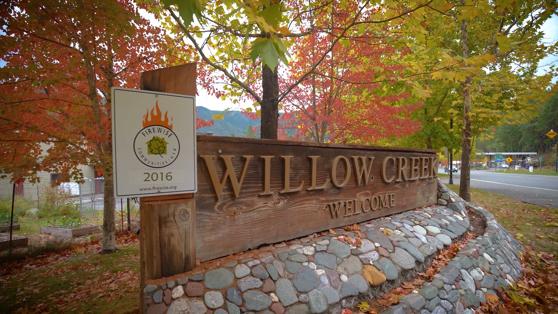 Willow Creek Cannabis Alliance