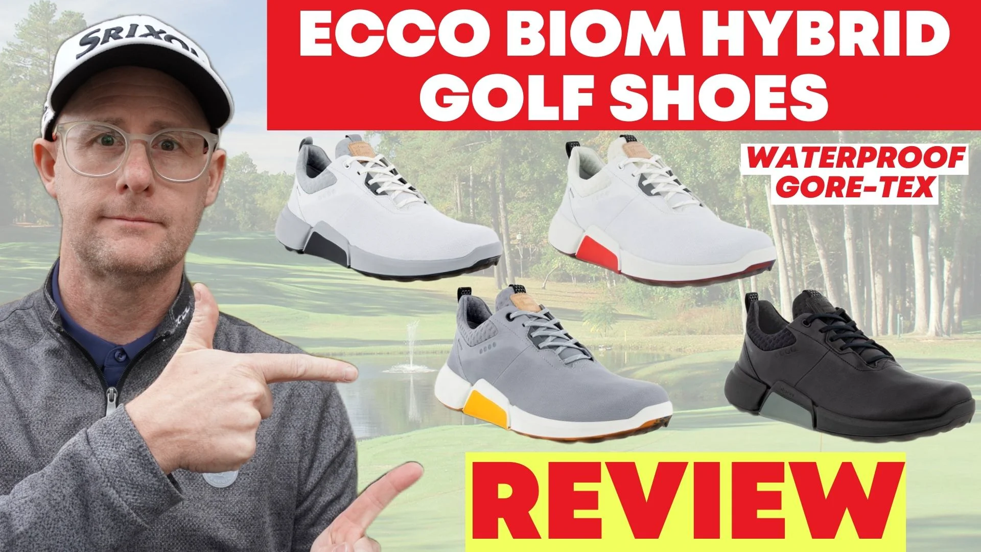 Ecco biom shop hybrid review