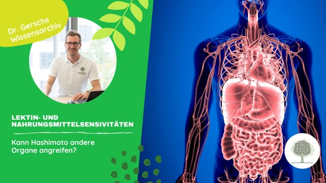 Kann Hashimoto andere Organe angreifen? 