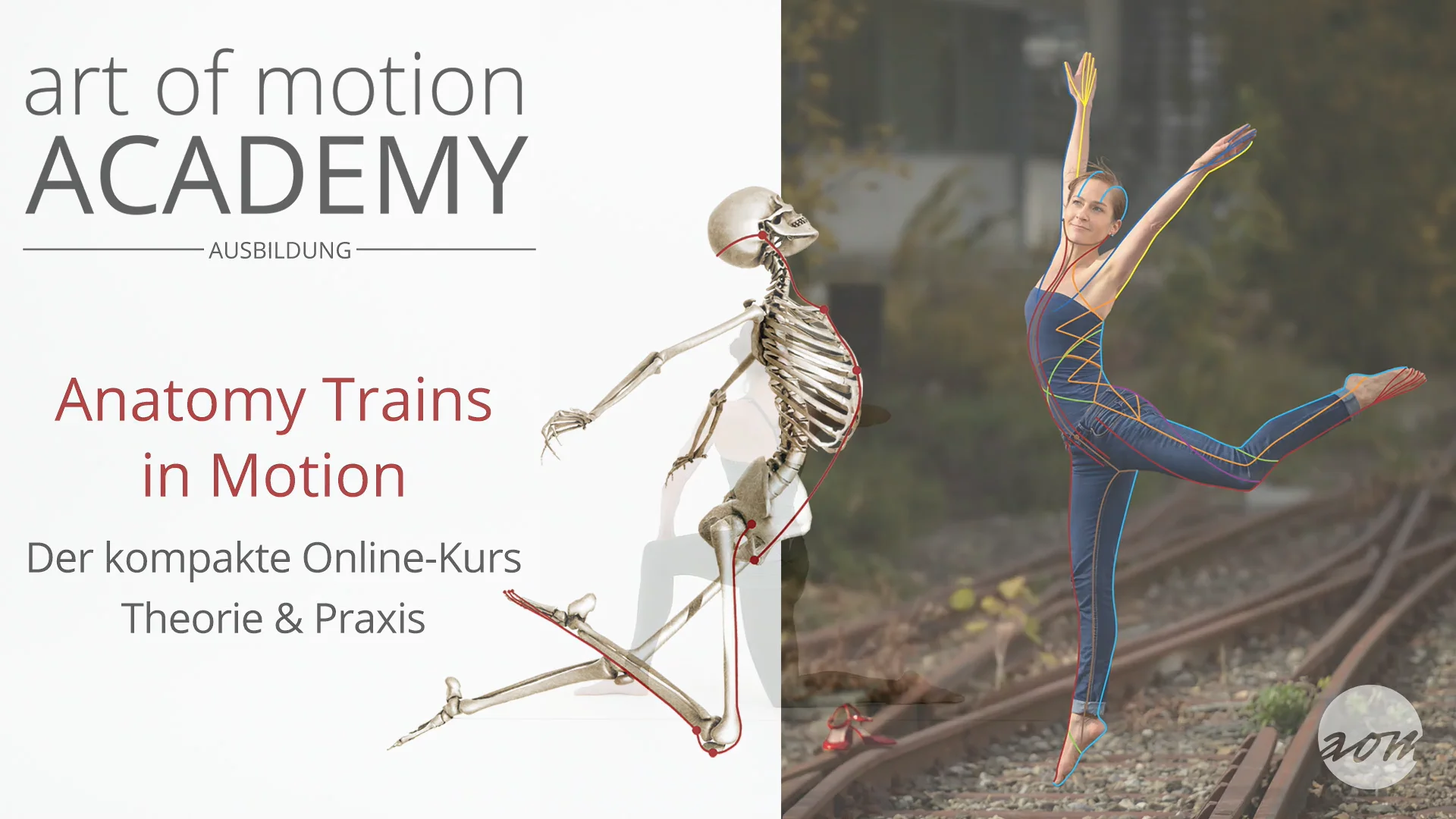 Anatomy Trains In Motion Kurs : Anatomy Trains in Motion (Slings ...
