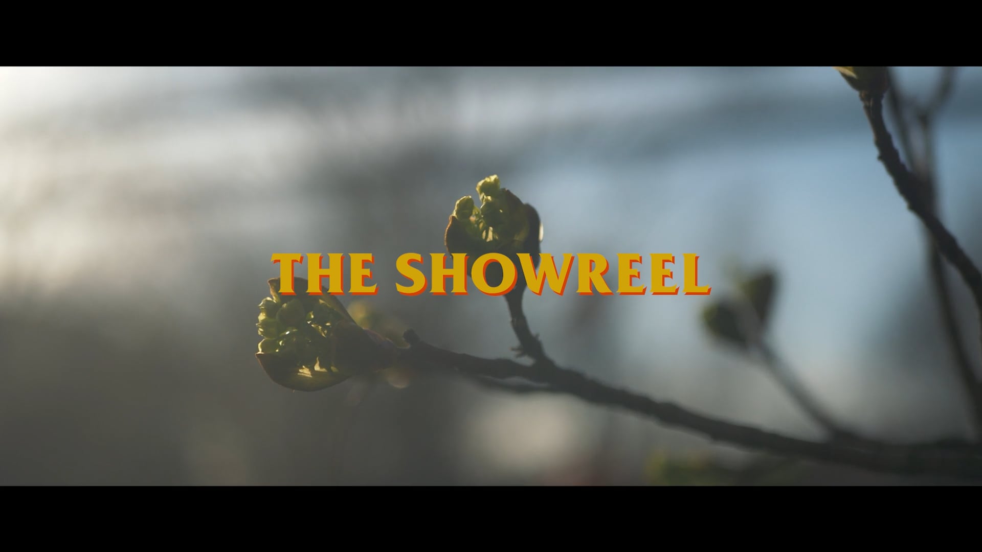 Jyrki Sorjonen Showreel.mp4