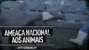 Ameaça Nacional aos Animais!
