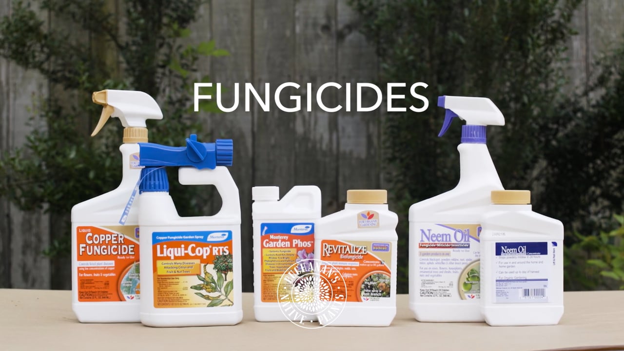 Fungicides.mp4