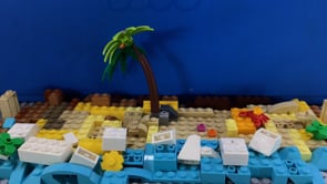 Taking care of Roebuck Bay - 2022 series