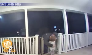 Toddler Hugs Delivery Man