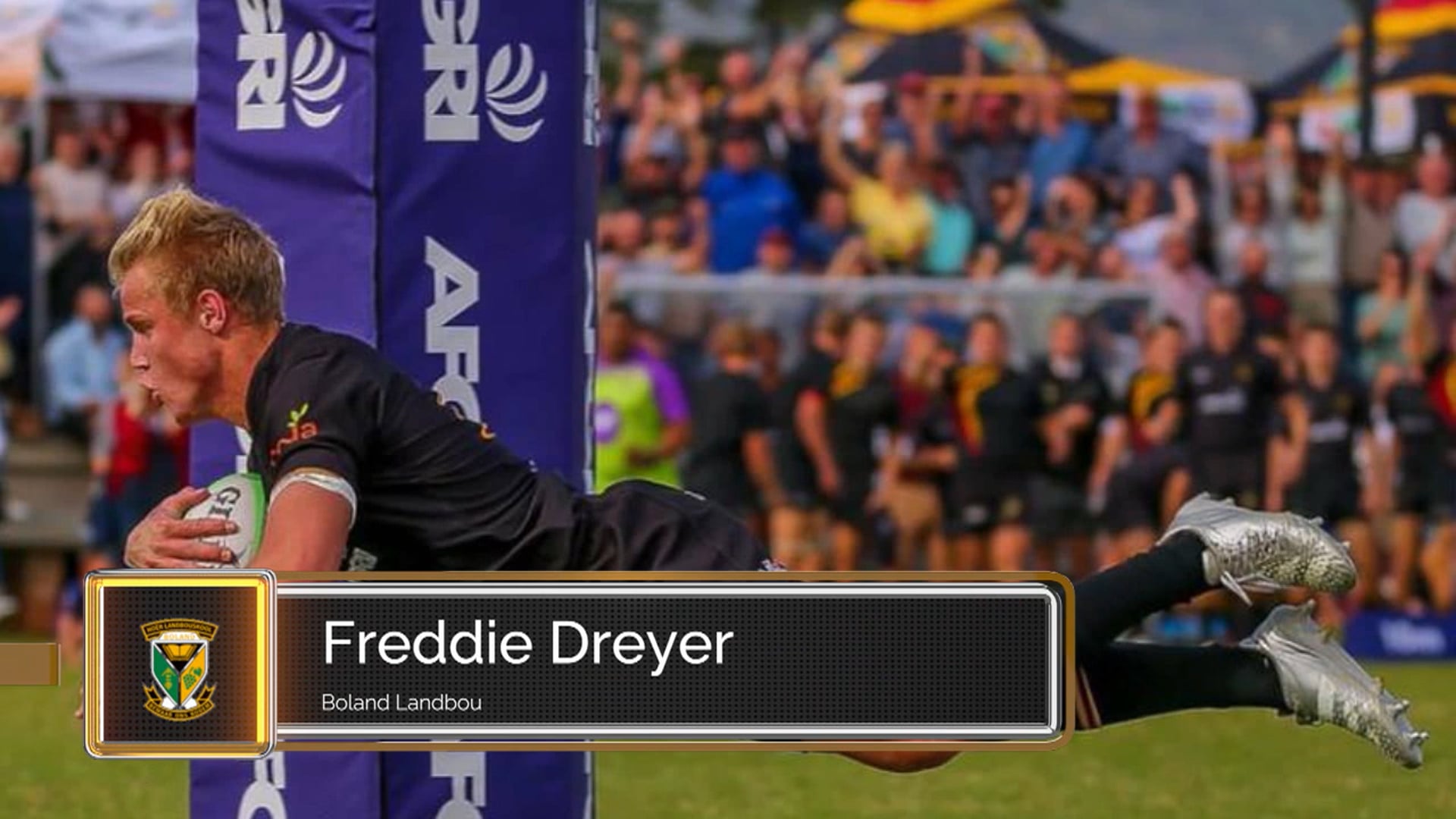 Visual CV of Freddie Dreyer