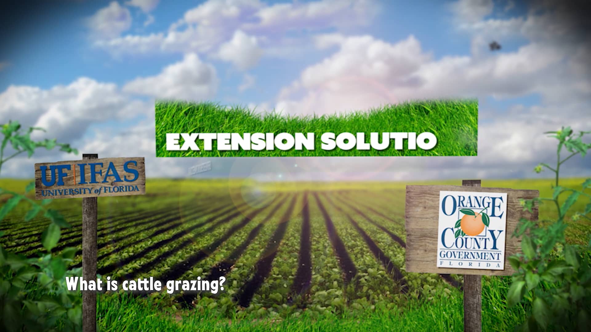 Extension Solutions Foraging on Vimeo
