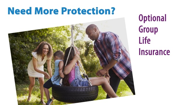 What is Optional Group Life Insurance?