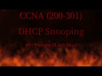 DHCP Snooping