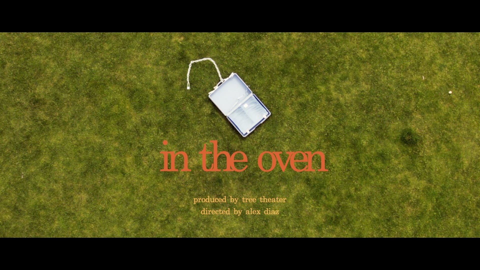 in the oven