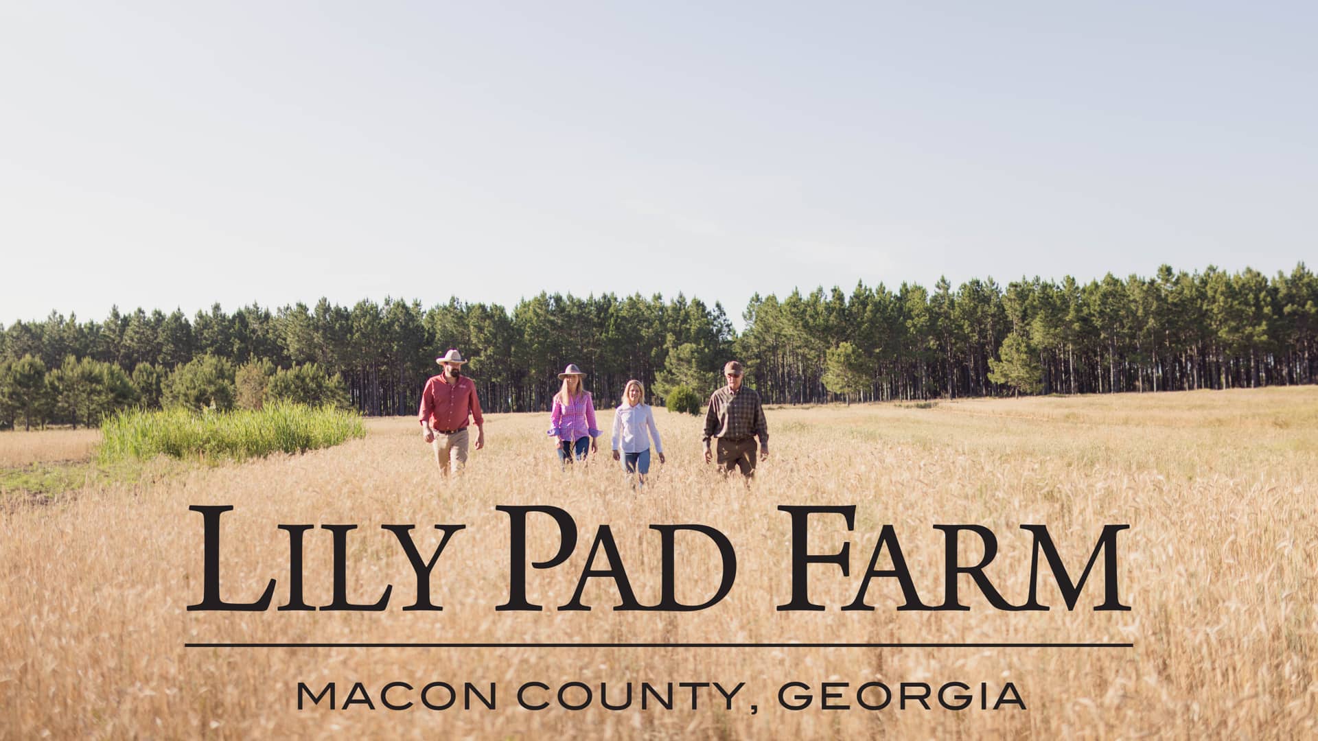 Lily Pad Farm on Vimeo