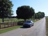 Walton EMC "Shopping for an EV"