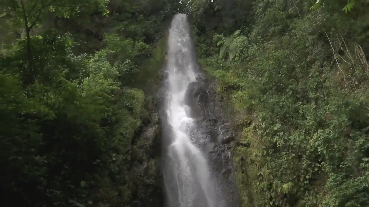 Trekking en Xico