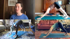 Related Embedded Video Item Thumbnail
