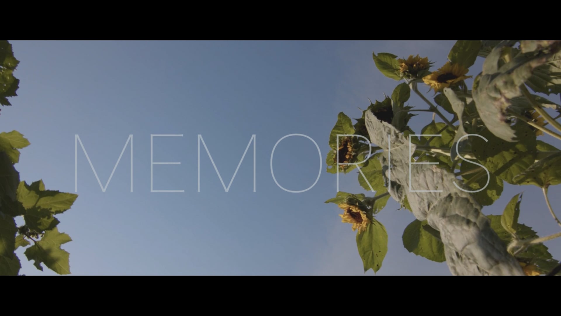 Sophia - Memories