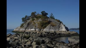 Everything Nikon | Nikon flicks!