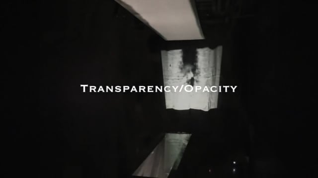 Leith Campbell "Transparency/Opacity"
