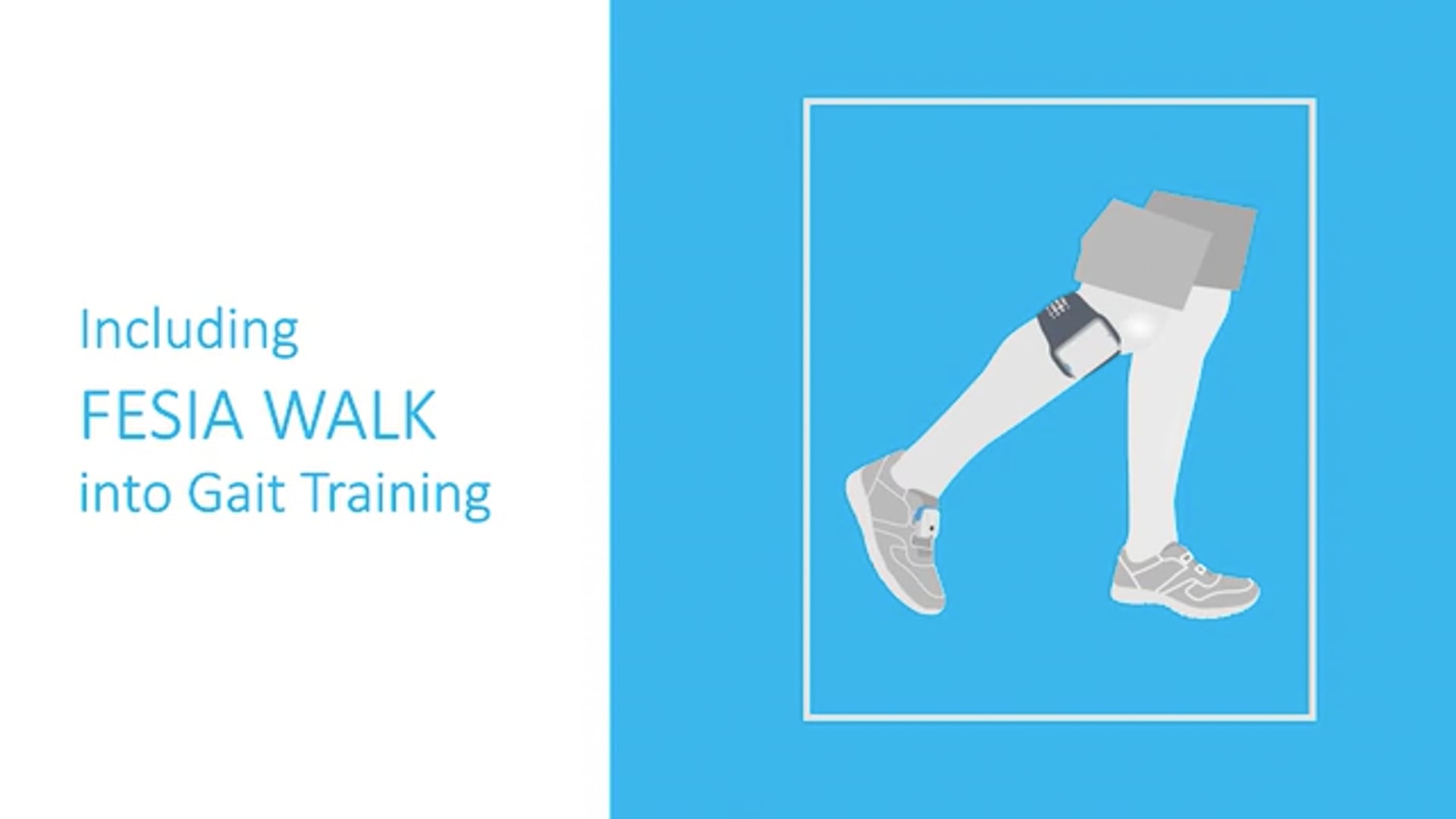 Including Fesia Walk into Gait Training