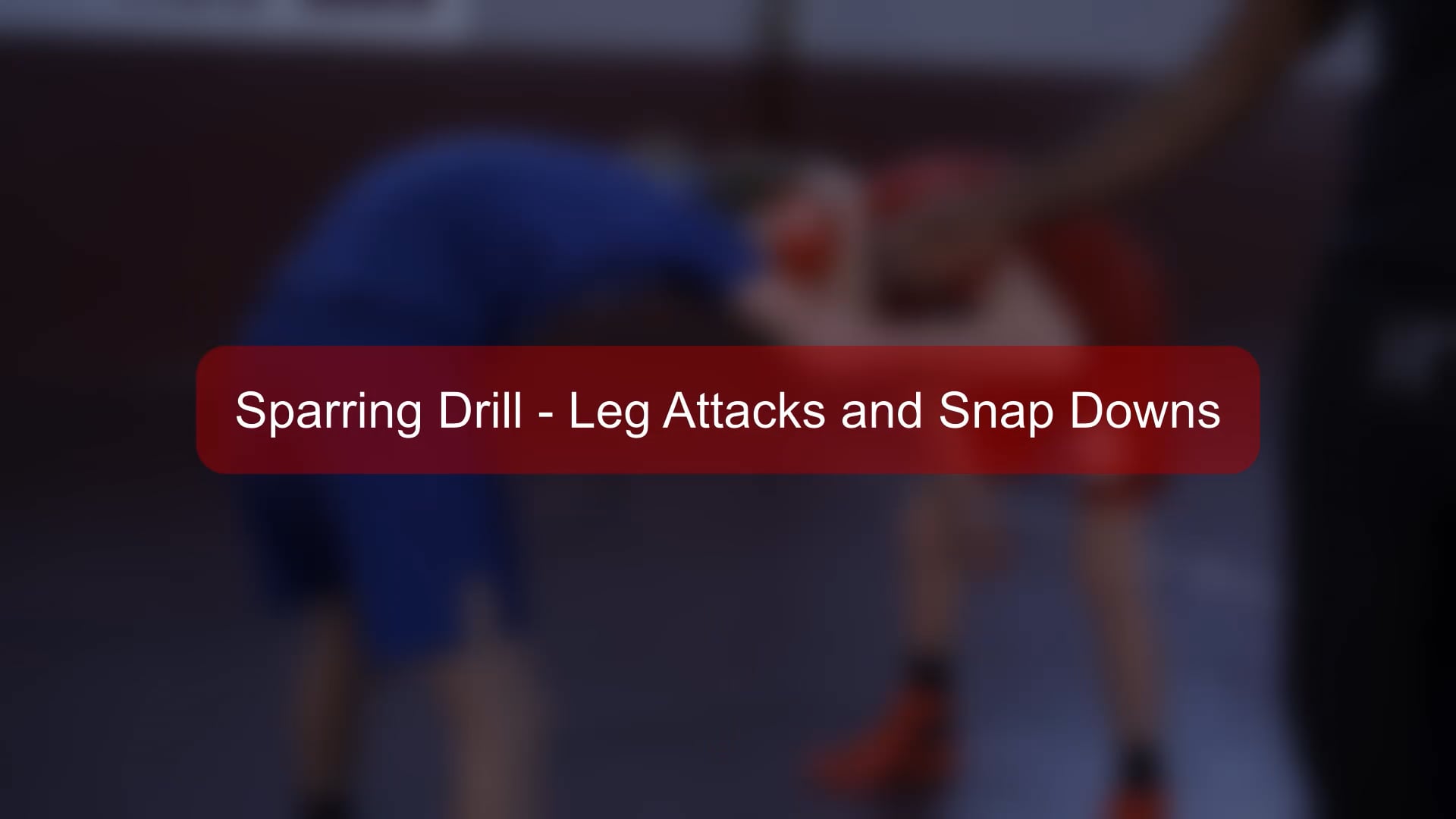 Boys - 15 - Sparring Drill - Leg attacks and snap downs.mp4
