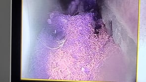 First glimpse!