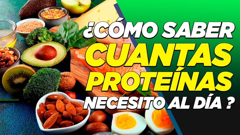 ¿CÓMO SABER CUÁNTAS PROTEÍNAS NECESITO AL DÍA? on Vimeo