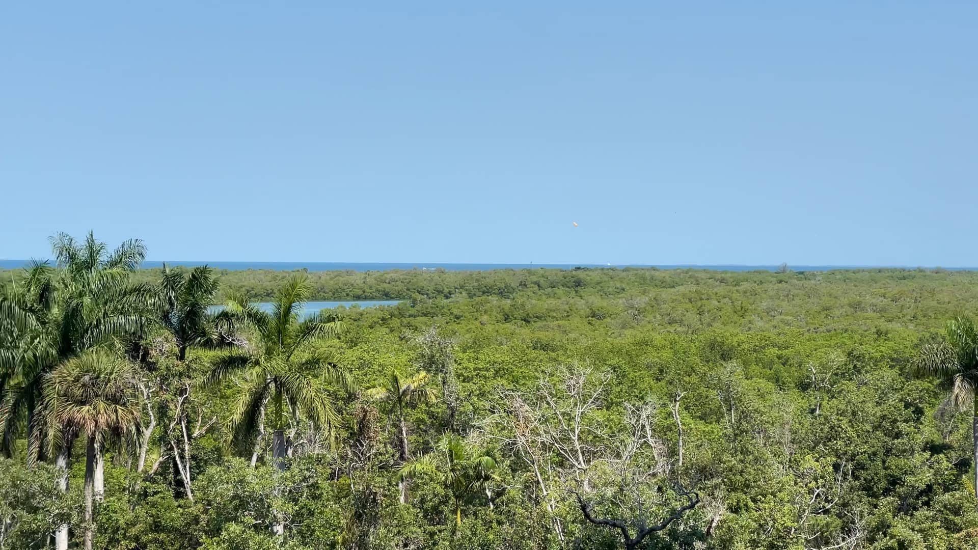 Kalea Bay 504 T300 on Vimeo