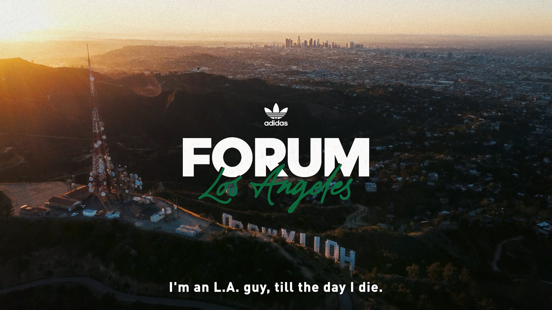 ADIDAS FORUM SHOES
