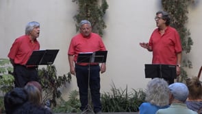 Els Tranquils al cicle d'Arrel i amb Salero