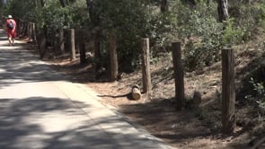 Últimes reparacions a la tanca del passeig d'Empúries