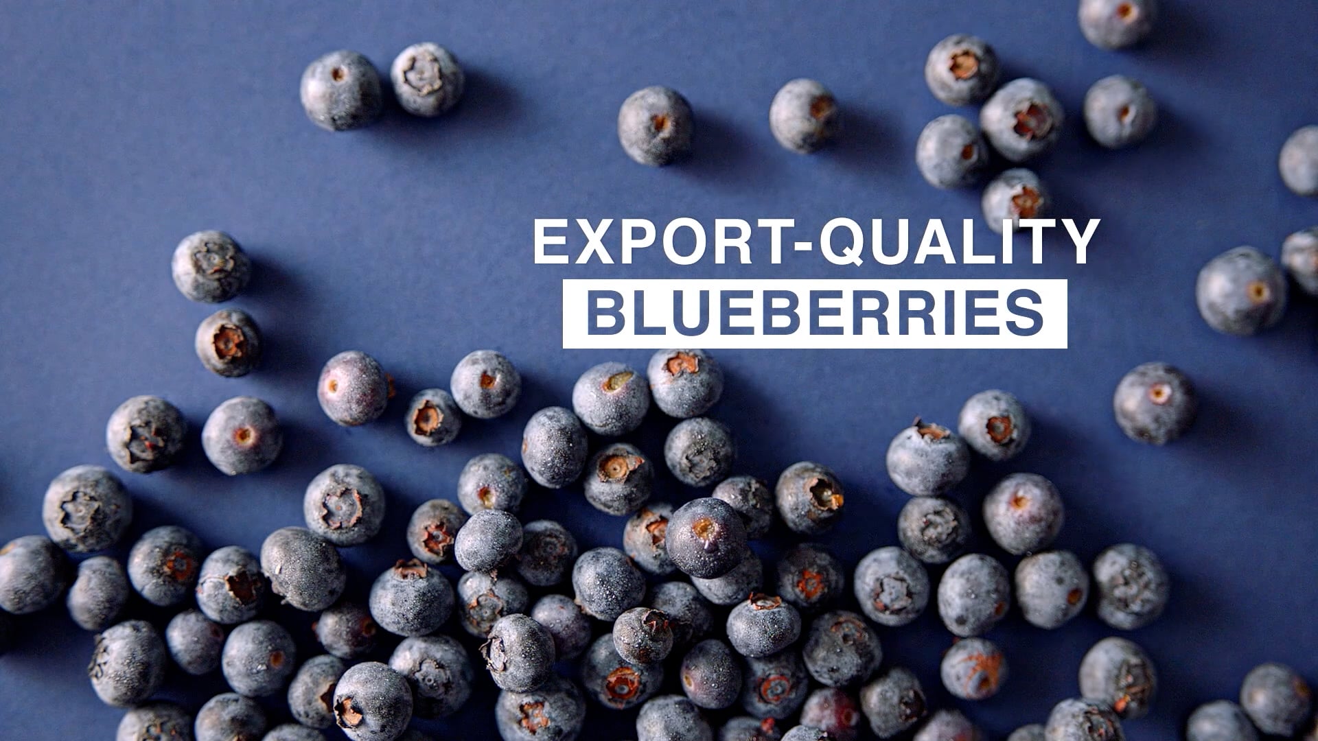 Checkers Value Campaign on Vimeo