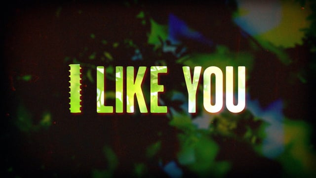 hello, i like you