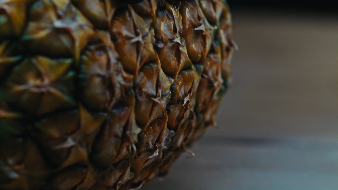 Vorschaubild von Gastro