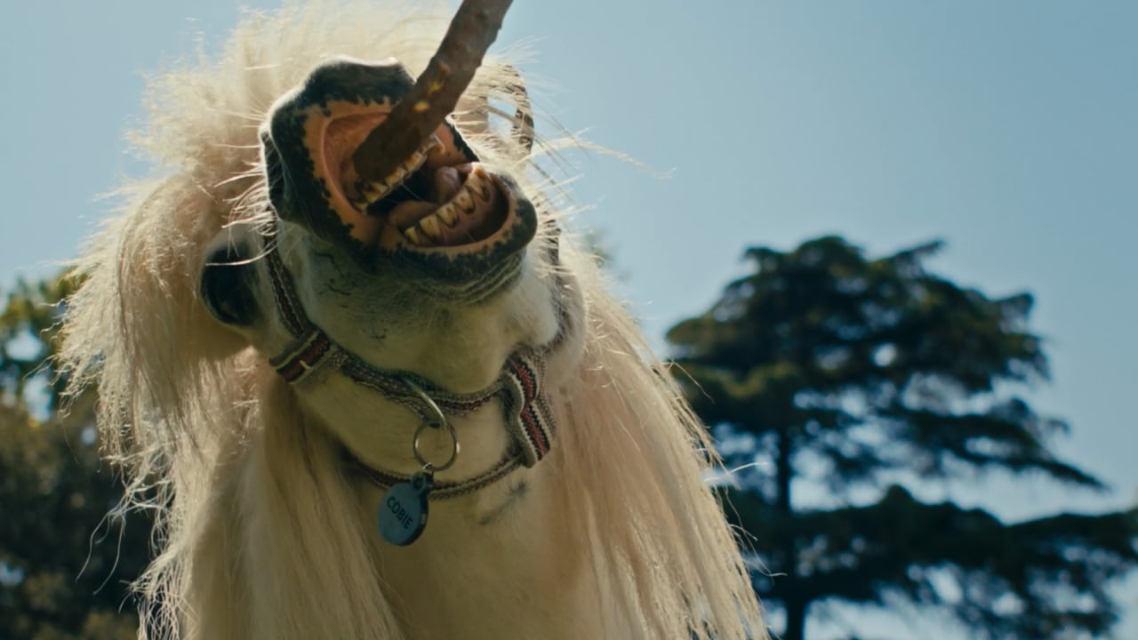 Vorschaubild von Pony