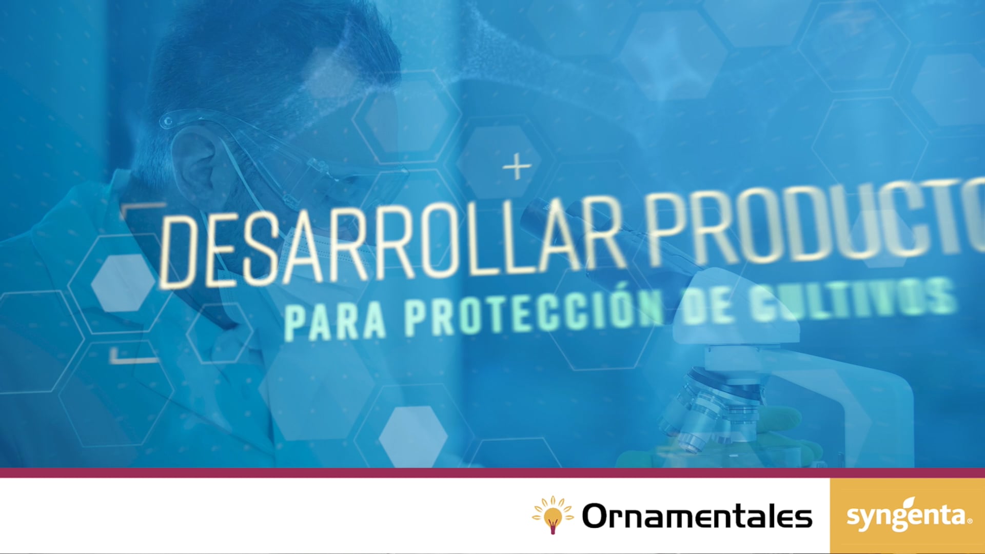 SOSTENIBILIDAD PARA TODOS