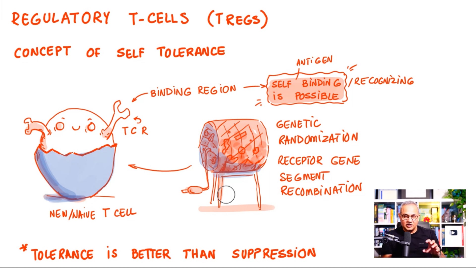 Chronic Inflammation - T Regulatory Cells (Lecture 4)