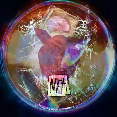 https://i.vimeocdn.com/video/1459866627-5b4b30a927a730e447efee6769de8d4d5d8f21cc83205d1704f311e0bdc638f7-d