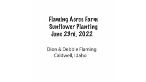 Sunflower Planting Day at Flaming Acres Farm