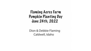 Pumpkin Planting Day