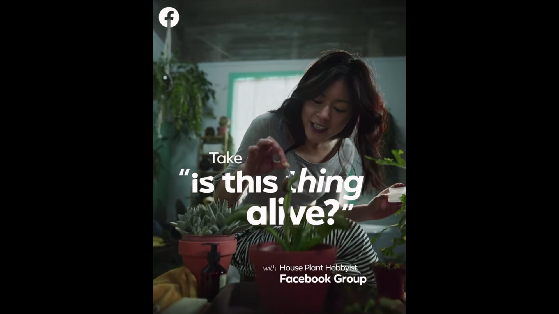 Facebook Groups - Is This Thing Alive?
