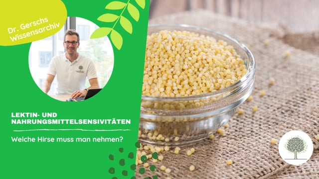 Welche Hirse ist die ideale Sorte zur lektinfreien Ernährung? 