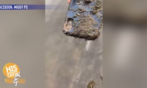 Iphone Found in Water After 10 Years