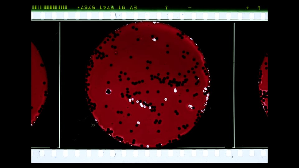 exoplanets