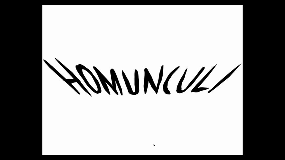 Homunculi