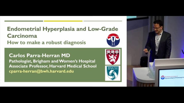 Endometrial hyperplasia and low grade carcinomas - how to make a robust diagnosis