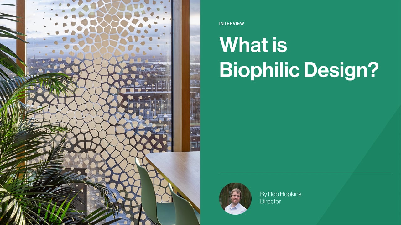What is biophilia?