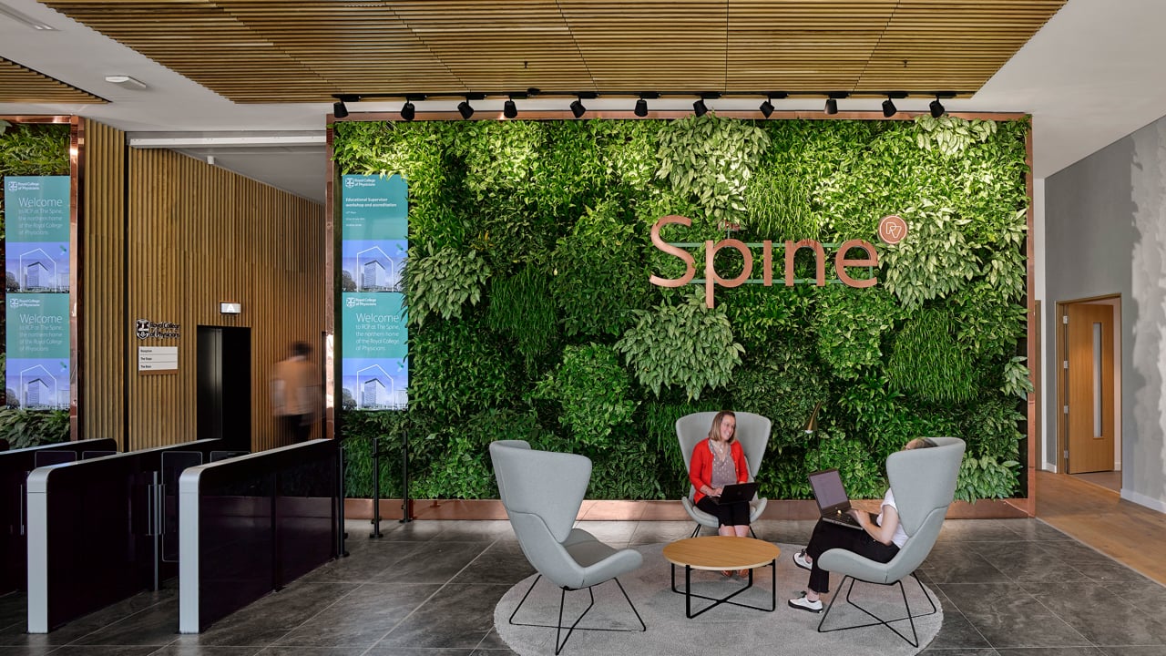 The Spine, Liverpool - Short