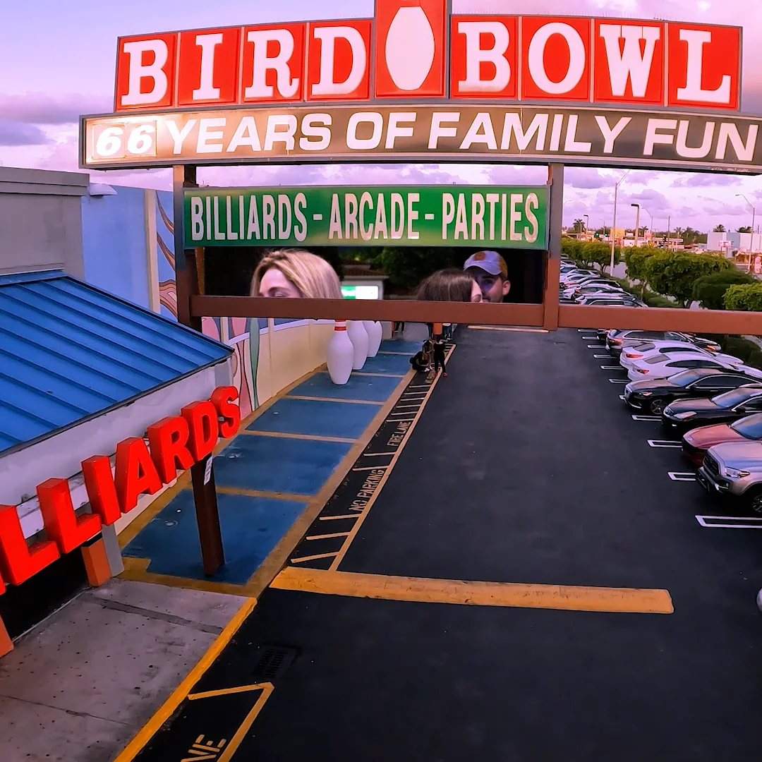 Bird Bowl