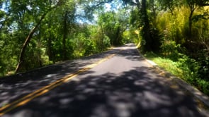 Driving Through - Cameron Park