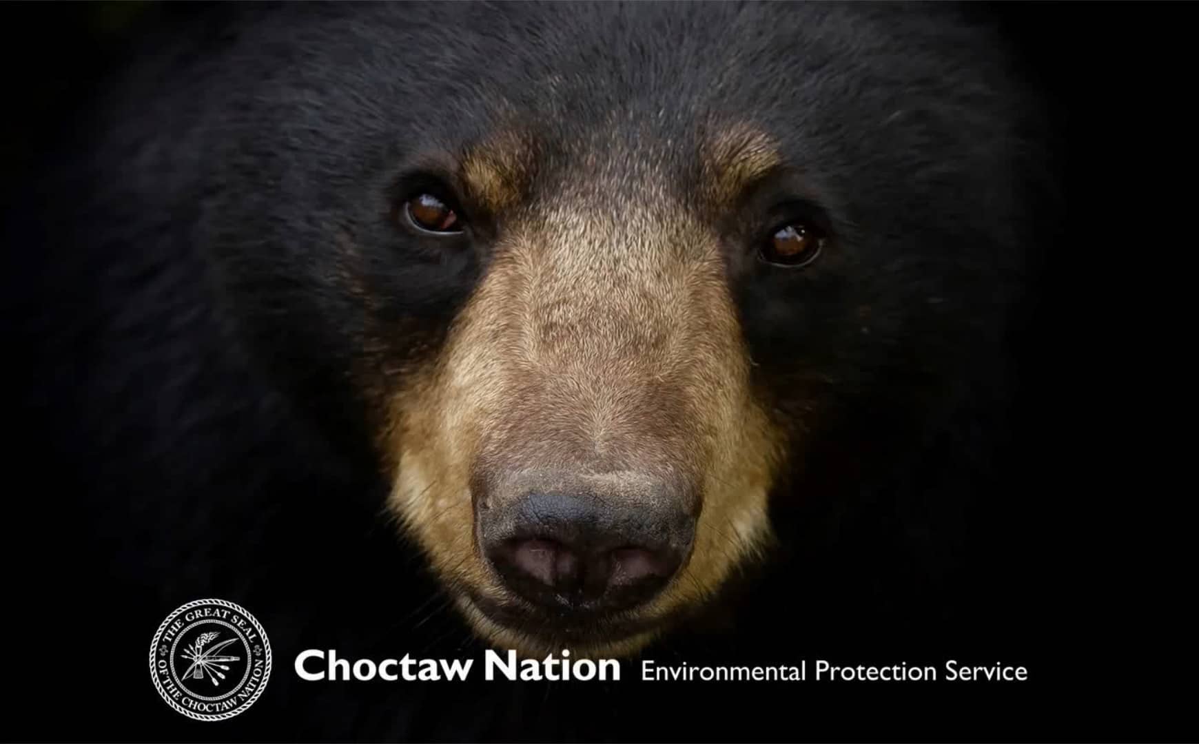 Black Bear Hunting and Conservation Training on Vimeo