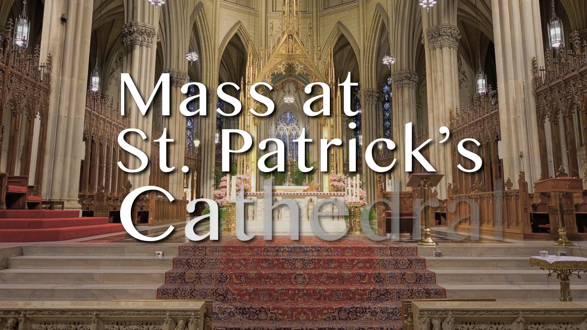 Mass from St. Patrick's Cathedral - July 1, 2022